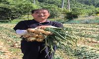 [칼럼] 500미터의 선을 넘어, '함께 흐르는' 화천을 소망하며