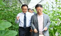 정부, 화천 찾아 토마토·애호박 가격 폭락 현장 점검