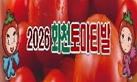 [시론] 스페인에 ‘토마티나’가 있다면, 화천에는 ‘토마티발’을