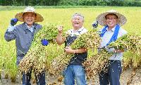 6만9천원짜리 화천쌀을 5만원에? 화천군·농협 27% 파격 지원